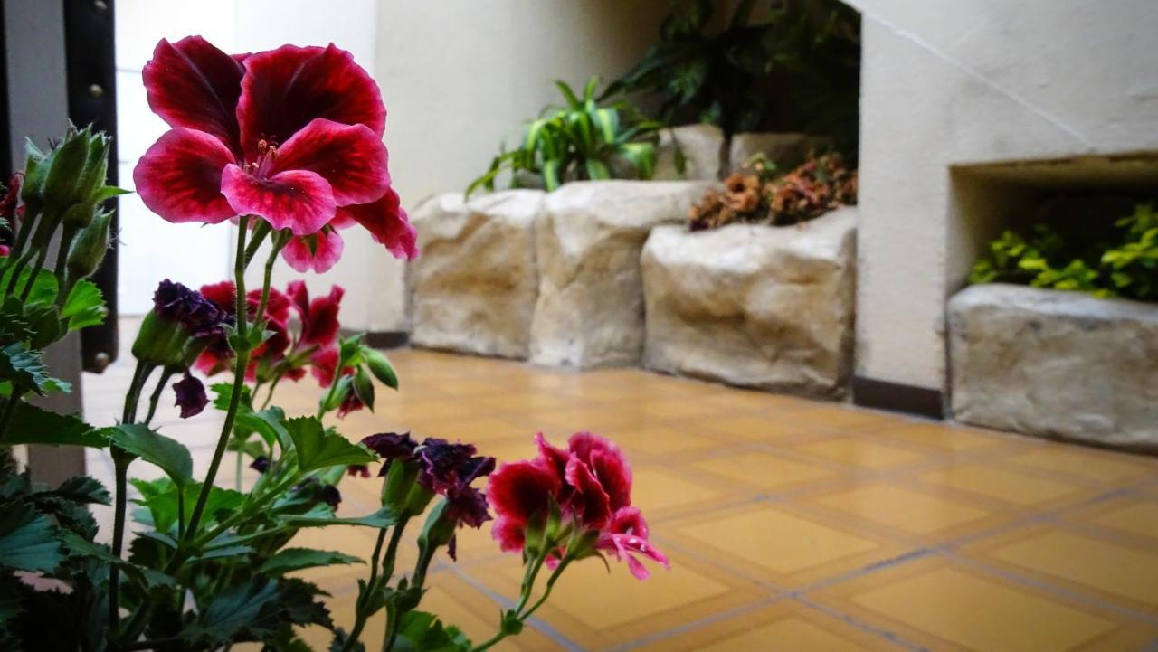 Hotel Mariscal Inn & Suite Cuenca Eksteriør bilde